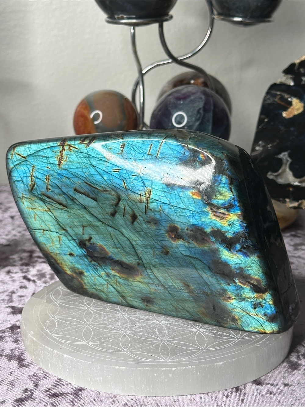 Blue Flash Labradorite BFL8
